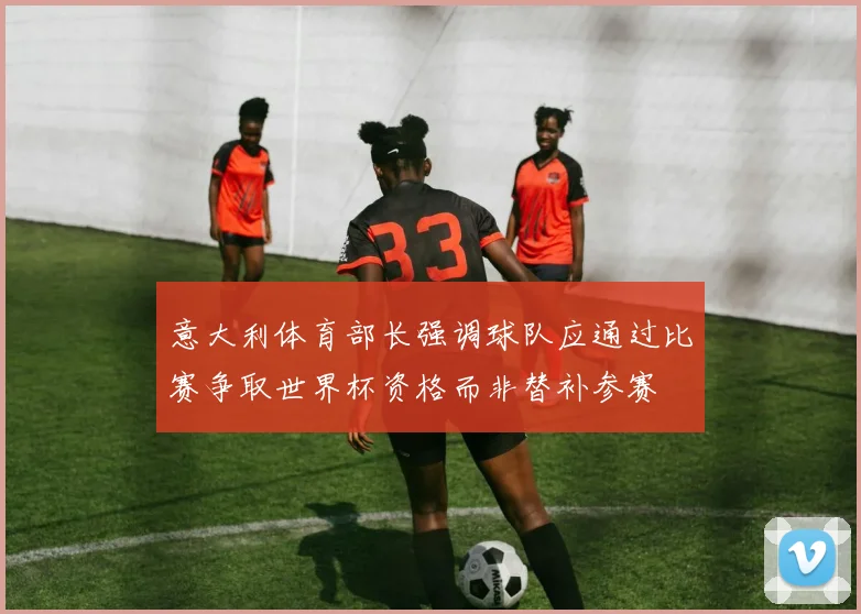 意大利体育部长强调球队应通过比赛争取世界杯资格而非替补参赛