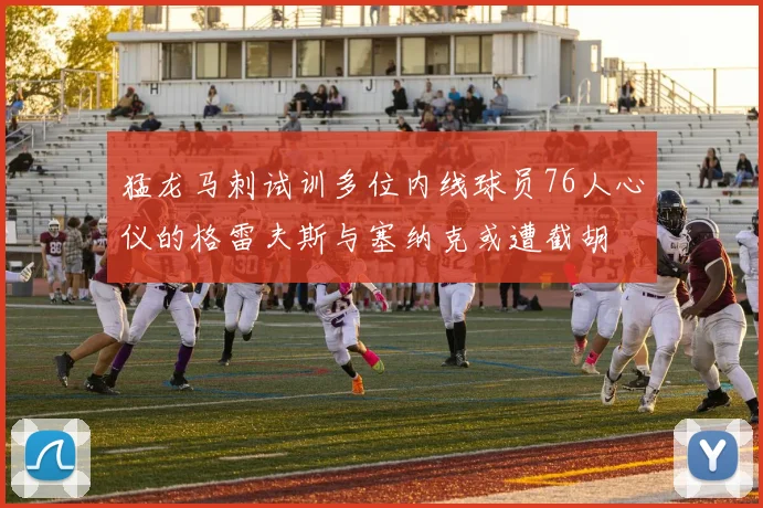 猛龙马刺试训多位内线球员76人心仪的格雷夫斯与塞纳克或遭截胡